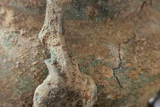 Archeologiczne odkrycia w Kazimierzy Wielkiej