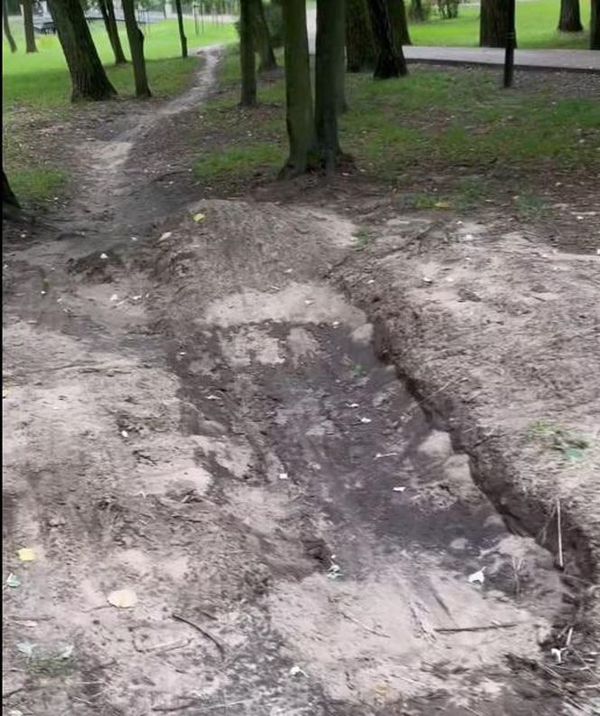 Urządzili sobie tor przeszkód w zabytkowym parku