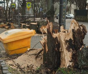 Wichura szaleje w Polsce. Strażacy mają ręce pełne roboty. Śledź relację na żywo