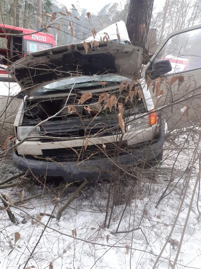 Śmiertelny wypadek w Lidzbarku. Bus uderzył w drzewo. Nie żyje młoda kobieta