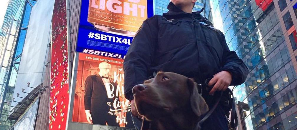 Fajerwerki pod specjalnym nadzorem