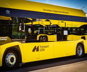 Wielki powrót autobusów w Katowicach! Koniec koszmaru pasażerów