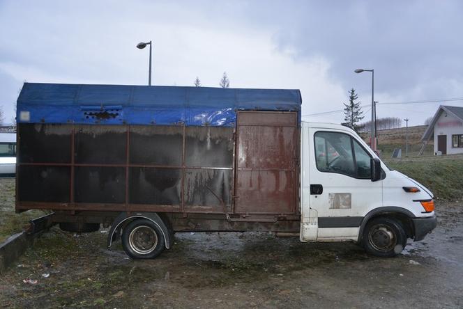 Ciężarówka, w której transportowane były konie 