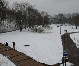 Walentynkowy śnieżny Lublin