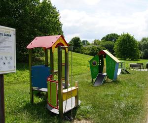 Wakacyjny spacer pod kładką nad wąwozem na Czubach. To jedno z najbardziej zielonych miejsc w Lublinie!