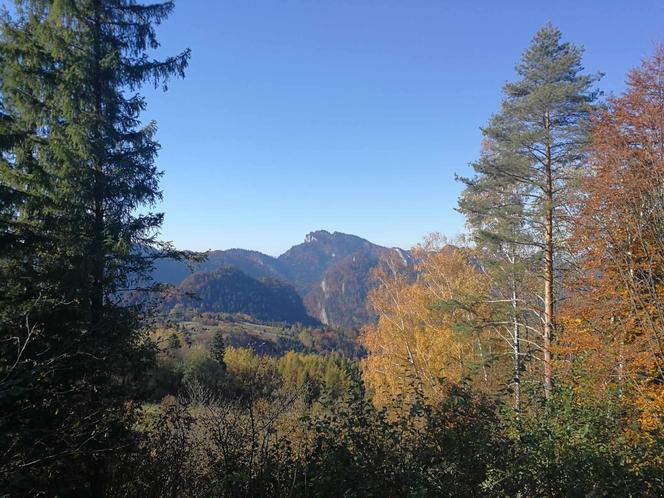 Mała Szwajcaria na wyciągnięcie ręki. Szczawnica to wyjątkowa miejscowość, idealna na jesienny wypad