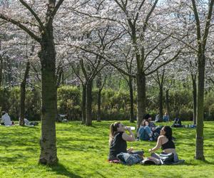 Wiosna nadciąga do Polski! Nawet 20 stopni na plusie. Tak ciepło w tym roku jeszcze nie było 