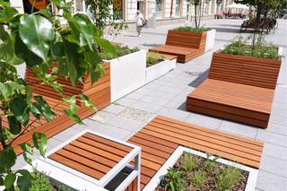 Kilka zielonych krzaczków wśród betonu. Nowa strefa relaksu podzieliła mieszkańców Białegostoku [ZDJĘCIA]