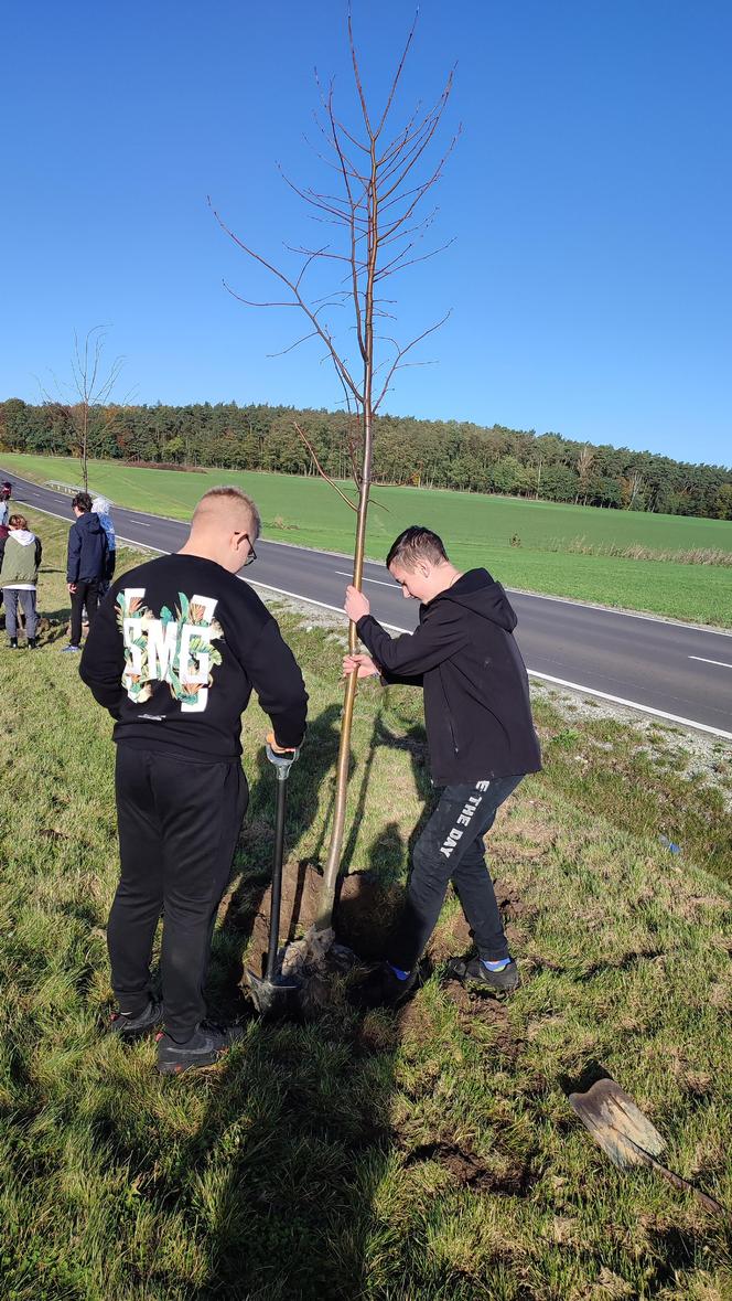 100 drzew na 100-lecie Polskiego Związku Łowieckiego