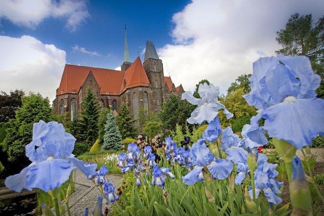 Najpiękniejszy ogród botaniczny w Polsce znów otwarty dla gości. Przygotuj się na widoki jak z bajki 