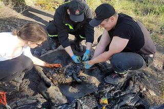 Fart wtopił się w asfalt