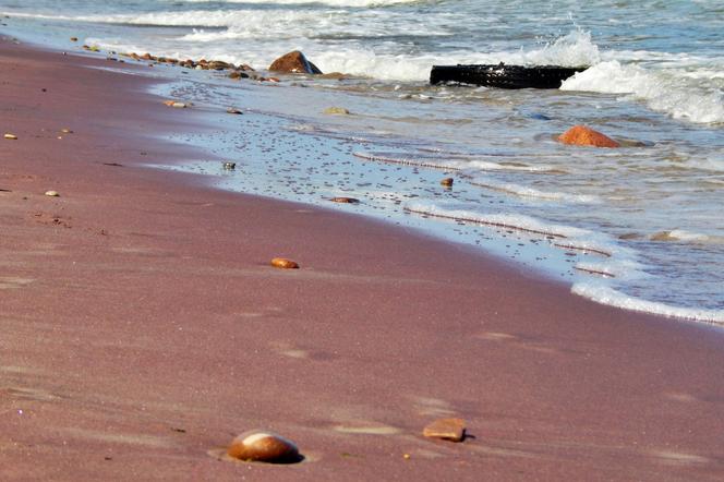 Fioletowy piasek nad Bałtykiem 