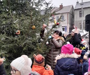 Na rynku w Mordach stanęła choinka