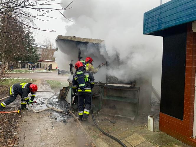 Pożar warzywniaka przy ul. Boenigka w Olsztynie. Dwie osoby zostały poszkodowane [ZDJĘCIA]