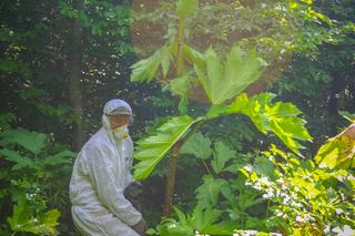 „Zemsta Stalina” pojawiła się w lasach w woj. lubelskim 