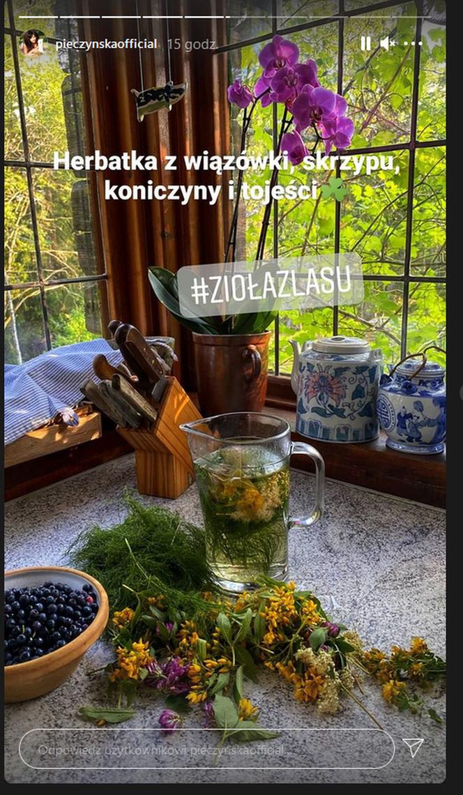 Małgorzata Pieczyńska na Instagramie pokazała dom w Szwecji i piękną okolicę letniej rezydencji