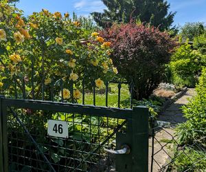 Do zabicia przyznał się podczas spowiedzi. Pobił Monikę tak mocno, że złamał sobie rękę