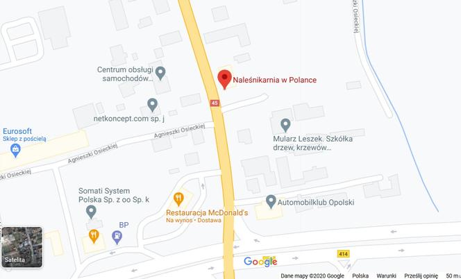 Opole. Gdzie zamówić jedzenie na dowóz? [LISTA]
