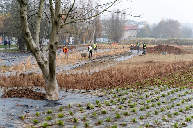 Nowa miejska plaża w Rzeszowie już powstaje