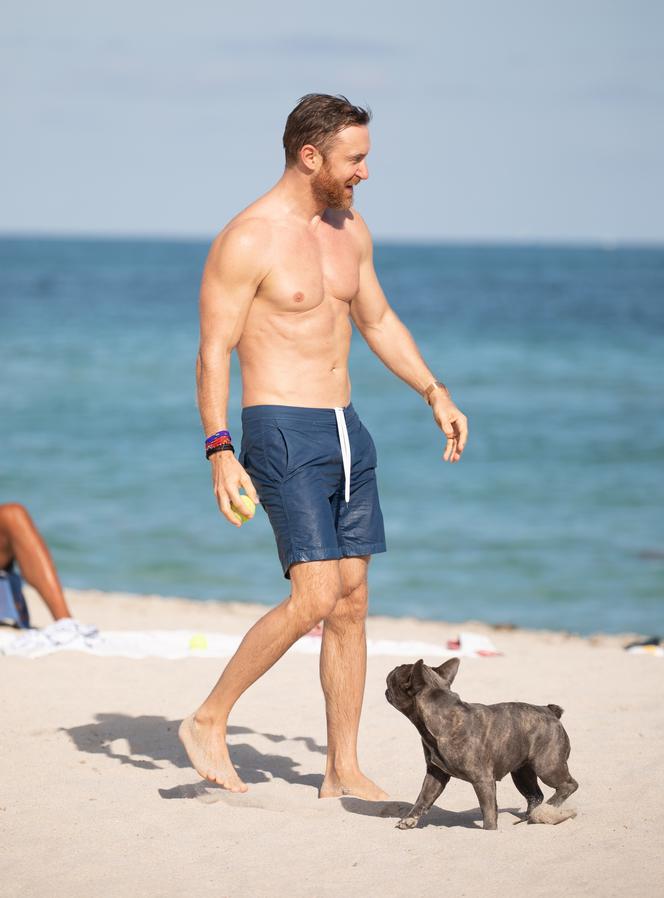 David Guetta z psem na plaży