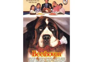 „Beethoven”