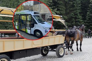 Przez elektrycznego busa koniom grozi straszna śmierć! Górale chcą je wysłać do rzeźni