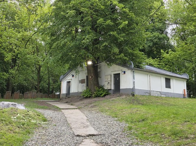 Cmentarz żydowski w Leżajsku