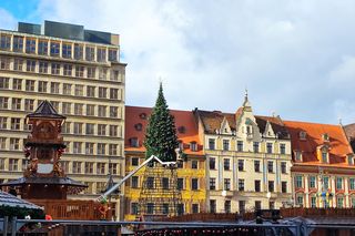 Na rynku we Wrocławiu stawiają 24-metrową choinkę. Będzie inna od poprzedniej 
