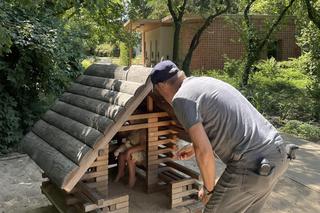 Donald Tusk z wnuczkami w Łazienkach