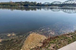 Wisła w Fordonie wyraźnie przybrała i przyspieszyła. Duża woda niesie mnóstwo śmieci i zanieczyszczeń [ZDJĘCIA]