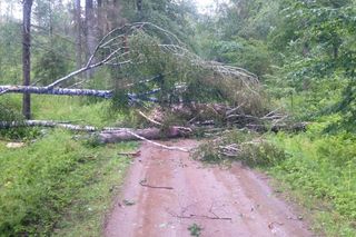 Woj. pomorskie. Ponad tysiąc interwencji strażaków w związku z silnymi ulewami!