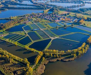 Unijne dofinansowanie dla Stawów Milickich! Zainwestowane zostanie kilkanaście milionów