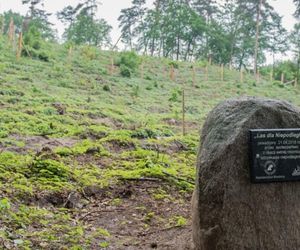 Brodnicki Park Krajobrazowy to raj dla aktywnych turystów. Odkryj bajkowe trasy i miejsca, jakie znasz z powieści kryminalnych!