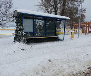 Starachowice zasypane śniegiem (03.12.2023.)