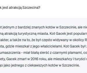 Chat GPT o Szczecinie 