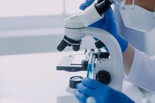 Niesamowite wyniki badań z Finlandii. Naturalna lignina zabija wirusy szybciej niż chemia