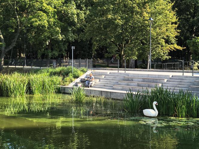 Styropianowy łabędź na Prośnie w Kaliszu