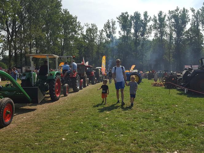 Festiwal starych ciągników w Wilkowicach. Setki maszyn, tysiące widzów i upał