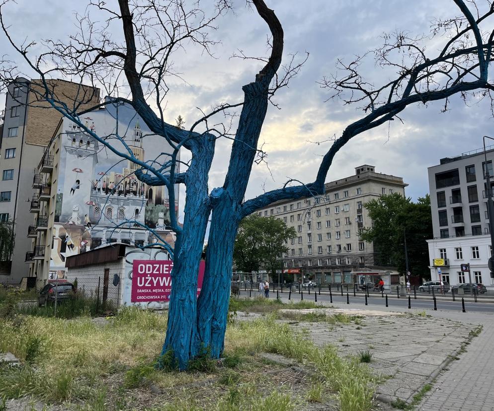 Niebieskie drzewo na rondzie Wiatraczna