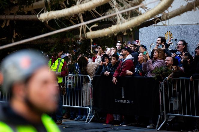 W Nowym Jorku stanęła choinka. Tłumy towarzyszyły jej transportowi