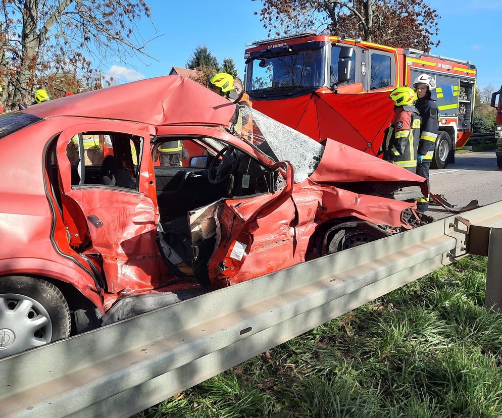 Tragiczny wypadek w miejscowości Wzdół Kolonia. Nie żyją dwie osoby, kolejne dwie są ranne