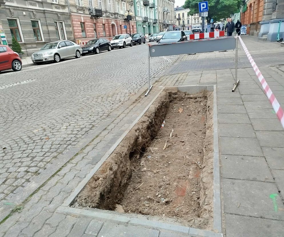 Będzie więcej zieleni przy ul. Piłsudskiego. Powstają tam rabaty z kwiatami 