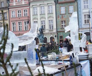 Poznań Ice Festival 2024 