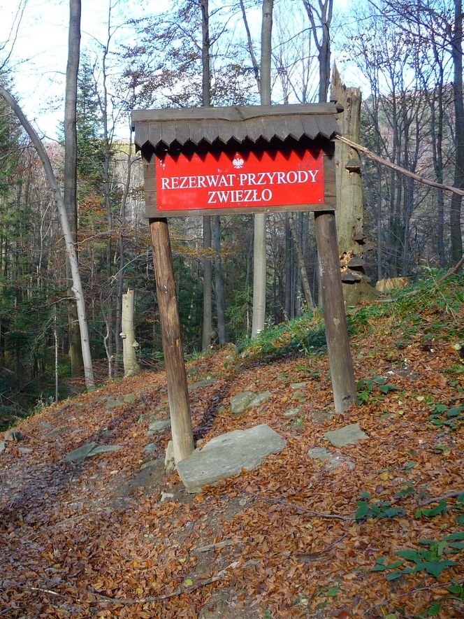 Jeziorka Duszatyńskie