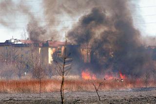 WARSZAWA: 6 hektarów trawy w ogniu na Białołęce