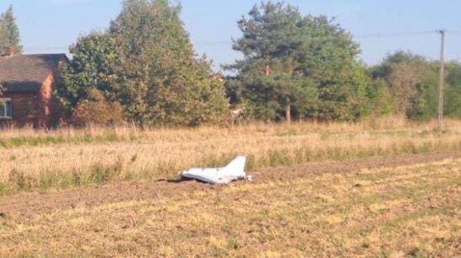 Dron Mniszków