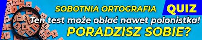 QUIZ. Sobotnia ortografia. Ten test może oblać nawet polonistka! Poradzisz sobie?