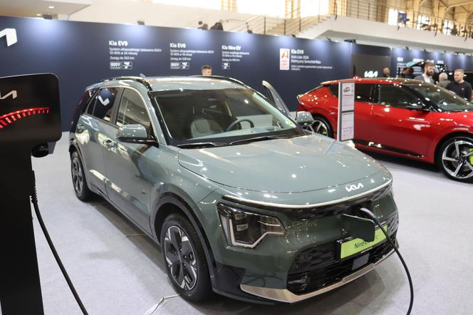 Poznań Motor Show 2024: Oto najpiękniejsza samochody! 