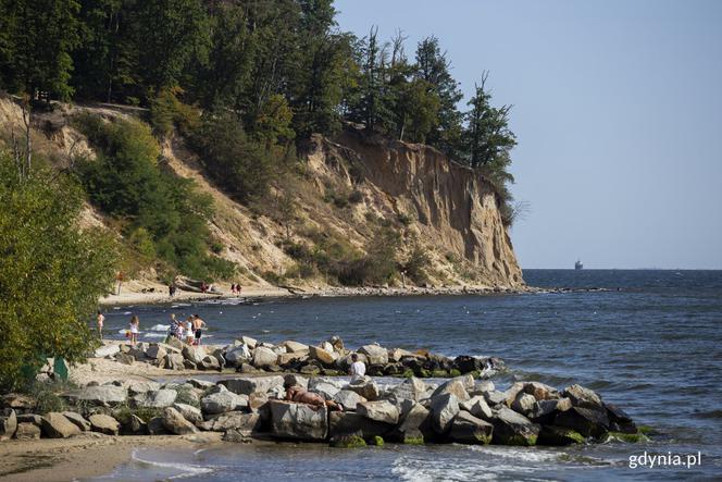 Będą poszerzać pomorskie plaże. Na początek - Kuźnica 