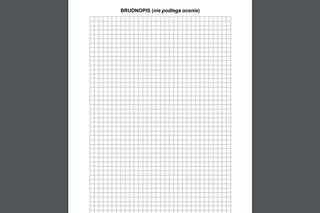 Matura poprawkowa matematyka 2022 - ARKUSZ CKE 